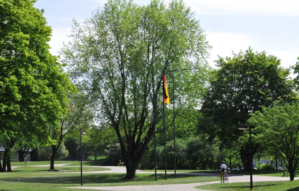 Foto vom Universitätscampus im Frühling mit blühenden Bäumen Fußwegen.